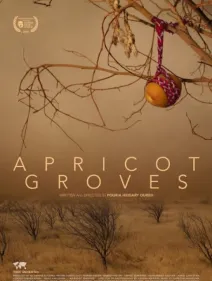 Not Acceptable + Apricot Groves