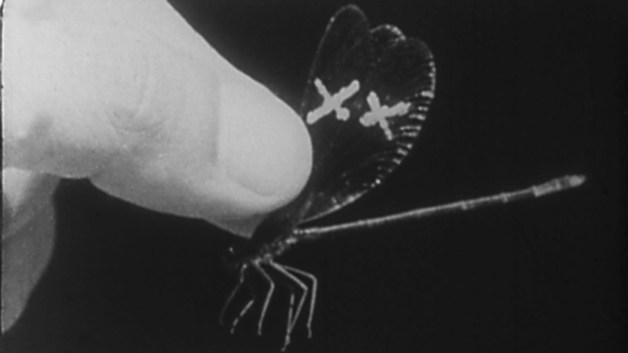 CHARLOTTE PRYCE. SESIÓN DE CORTOS | Cineteca