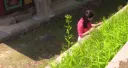¿Qué te dice esa naturaleza?