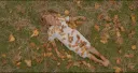 VIVIR CREANDO, ESTRENOS CINETECA, ECO SOSTENIBILIDAD