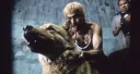 Amores perros