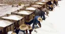 Alrededor de las salinas (1962)