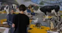 THE END OF MEAT