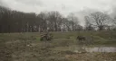 Derek vs Derek