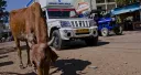 THE END OF MEAT