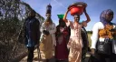 LA RADIO DE BATUMA / MANZANAS, POLLOS Y QUIMERAS 