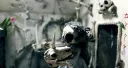 Rotten (Nakisa Sanai. Canadá. 2024)