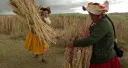 Sembradoras de vida