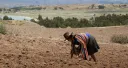 Sembradoras de vida