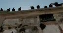 SESIÓN DE CORTOS ·6· DIRECTED BY WOMEN SPAIN