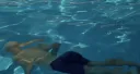O ESPIRITO DE PUCHO BOEDO