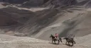 Yastay (Paula Gaetano Adi, Argentina, 2026)