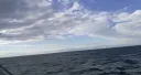 Agiña