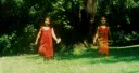 Cuando los árboles tocan (Gabriela Alma)
