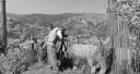 ALBERTO GARCÍA-ALIX. LA LÍNEA DE SOMBRA 