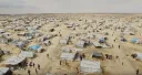 AI WEIWEI: MAREA HUMANA