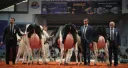 THE MILK SYSTEM 