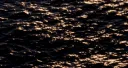 La luz del sol sobre el mar (Marta Lara. España. 2026)