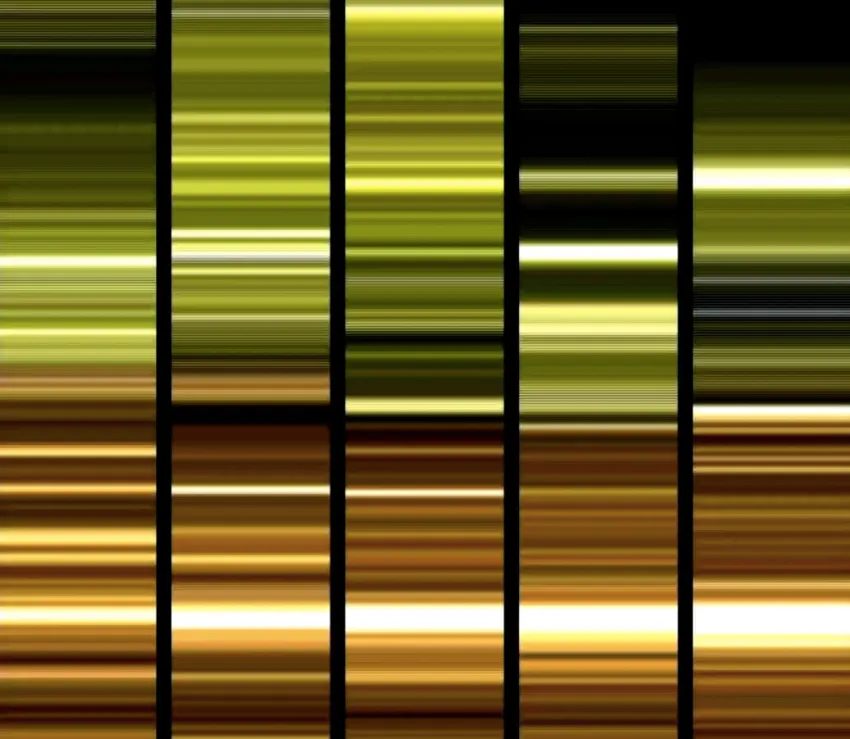 100 años de cine absoluto