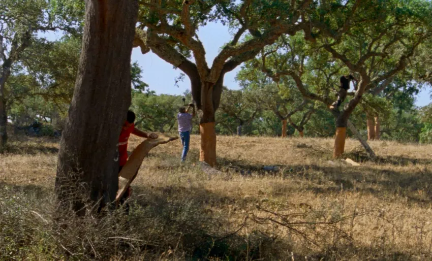 AS ESTAÇOES (Maureen Fazendeiro, España-Portugal-Francia, 2025)