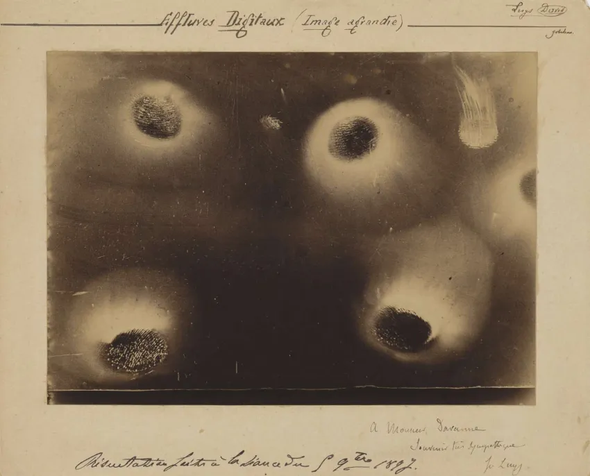 Mind Reading Machines