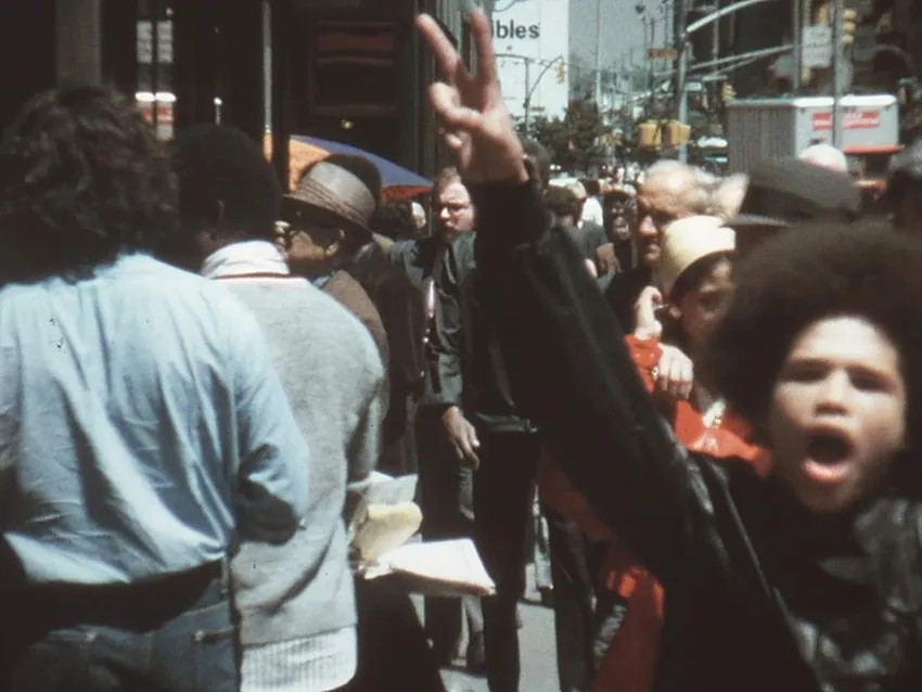 LIVING LIKE HETA / PIECES OF NEW YORK 