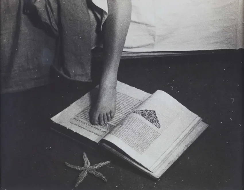 La estrella de mar