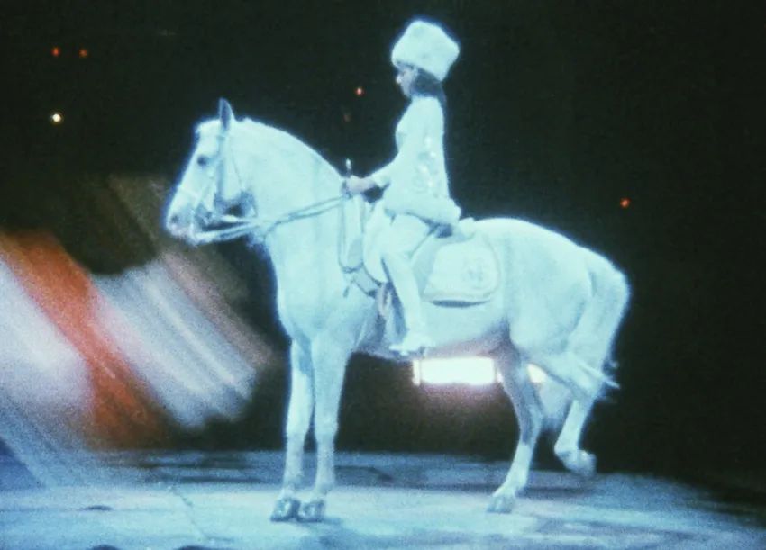 Notes on the Circus