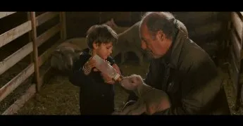 Le démantèlement 