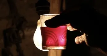 Una delicia para los sentidos + El vino de aquellas voces