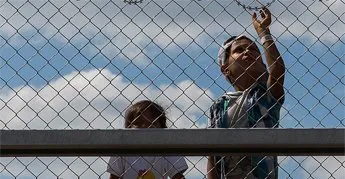 Sesión de Cortos IV. Artículo 31: Festival de Cine Documental y Derechos Humanos