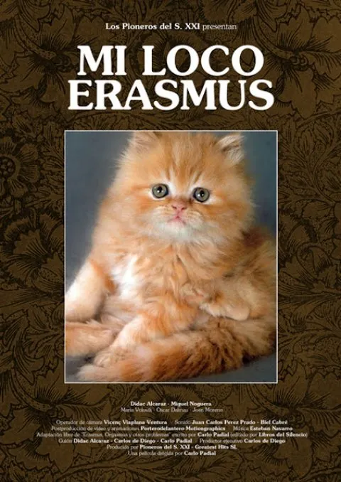 MI LOCO ERASMUS