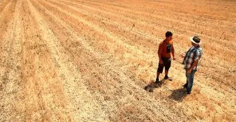 Farming on Crisis