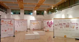 Exposición Mitos de las Violencias Machistas