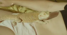 OAO