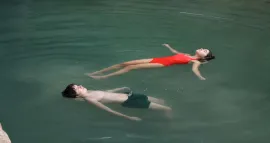 Las mantis