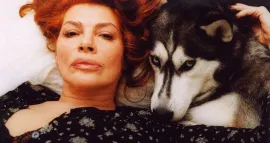 Animal Love