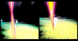 Debut, or, Objects of the Field of Debris as Currently Catalogued