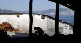 LA ESTRELLA ERRANTE