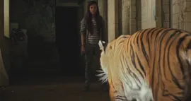 LABORATORY CONDITIONS / VUELVEN (TIGERS ARE NOT AFRAID)
