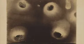 Mind Reading Machines