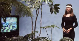 The Secret Life of Plants