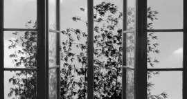 24 Frames. El séptimo en Cineteca