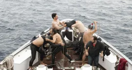 CHEVALIER