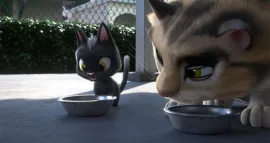 GATOS, UN VIAJE DE VUELTA A CASA