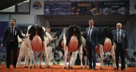 THE MILK SYSTEM 