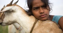 VILLAGE ROCKSTARS