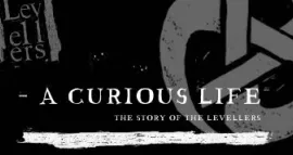 A Curious Life
