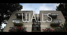 Doble sesión ganadores Goya 2015: Walls + Paco de Lucía, la búsqueda
