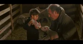 Le démantèlement 